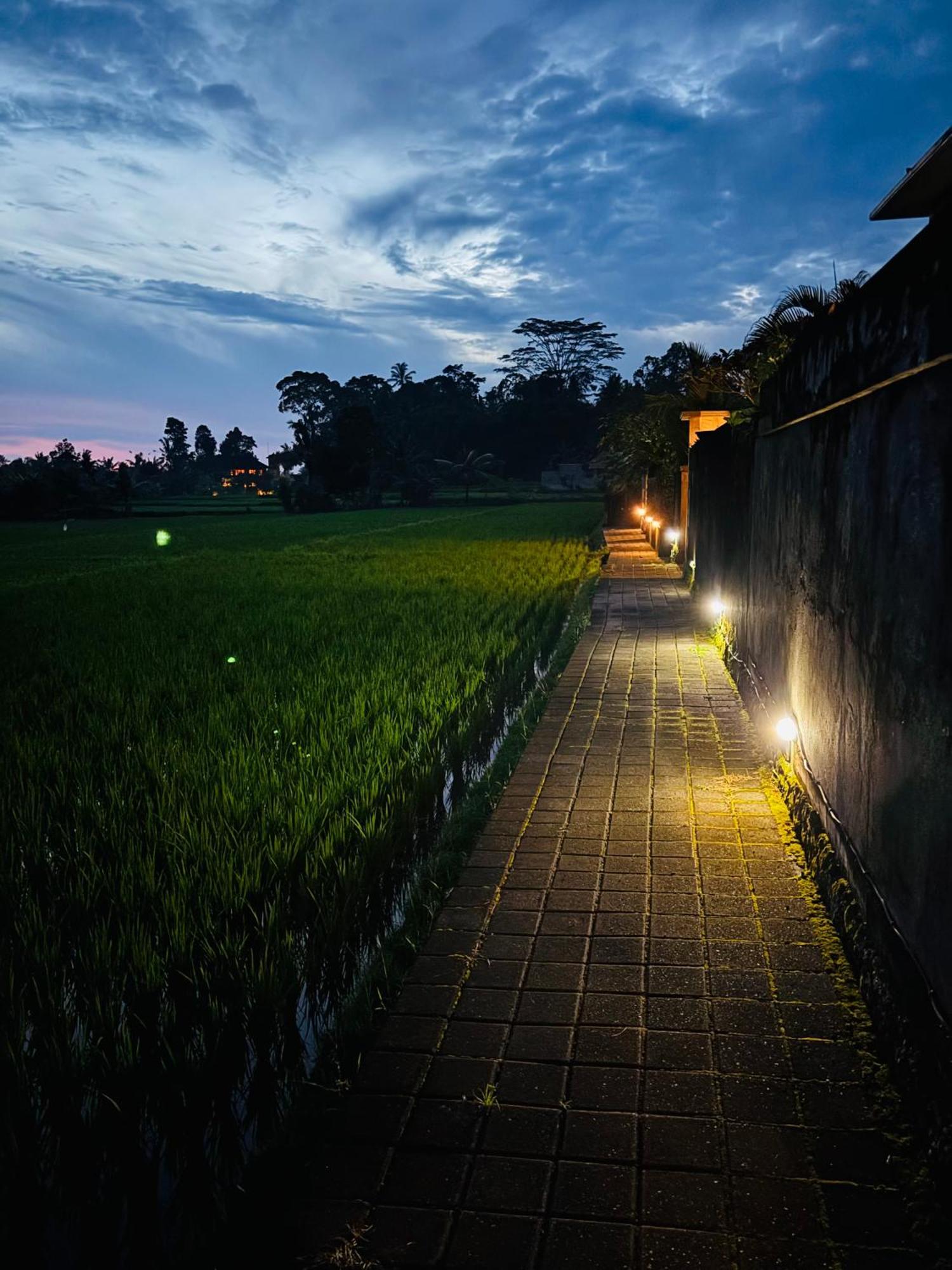 Uma Padi Villa Ubud Kültér fotó