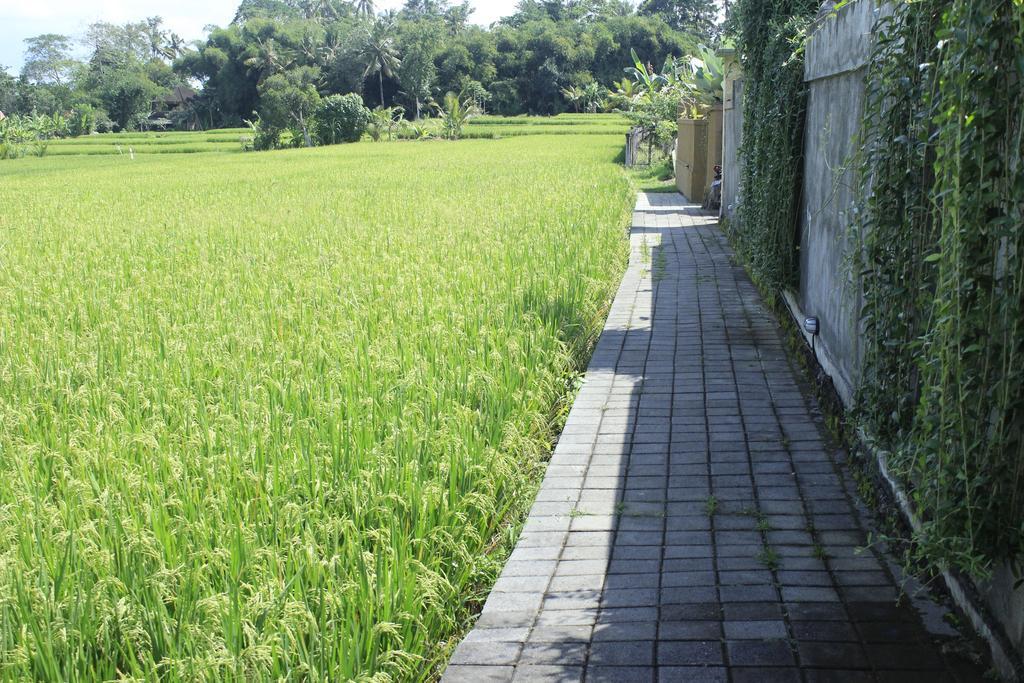Uma Padi Villa Ubud Kültér fotó